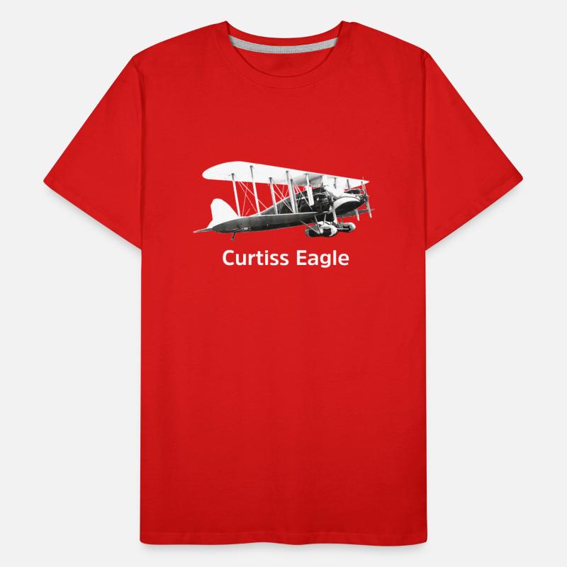 Curtiss Eagle Aircraft model