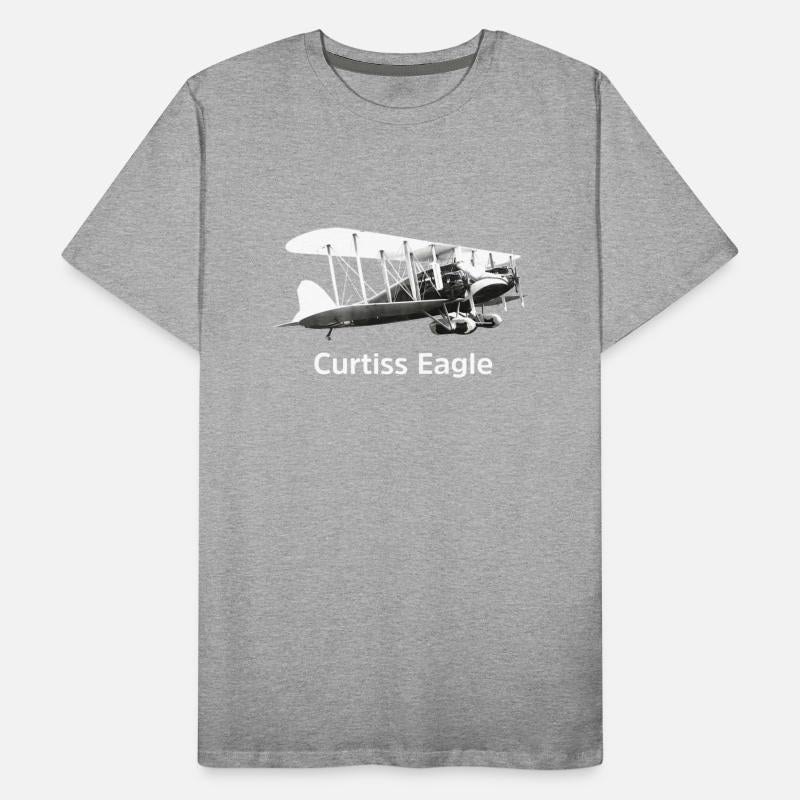 Curtiss Eagle Aircraft model