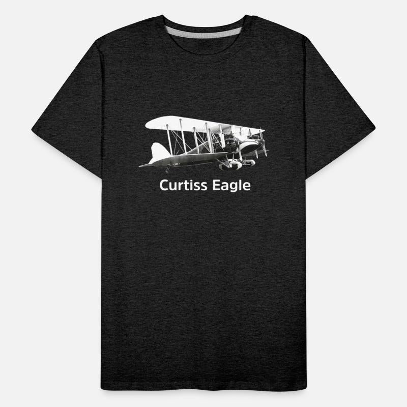 Curtiss Eagle Aircraft model
