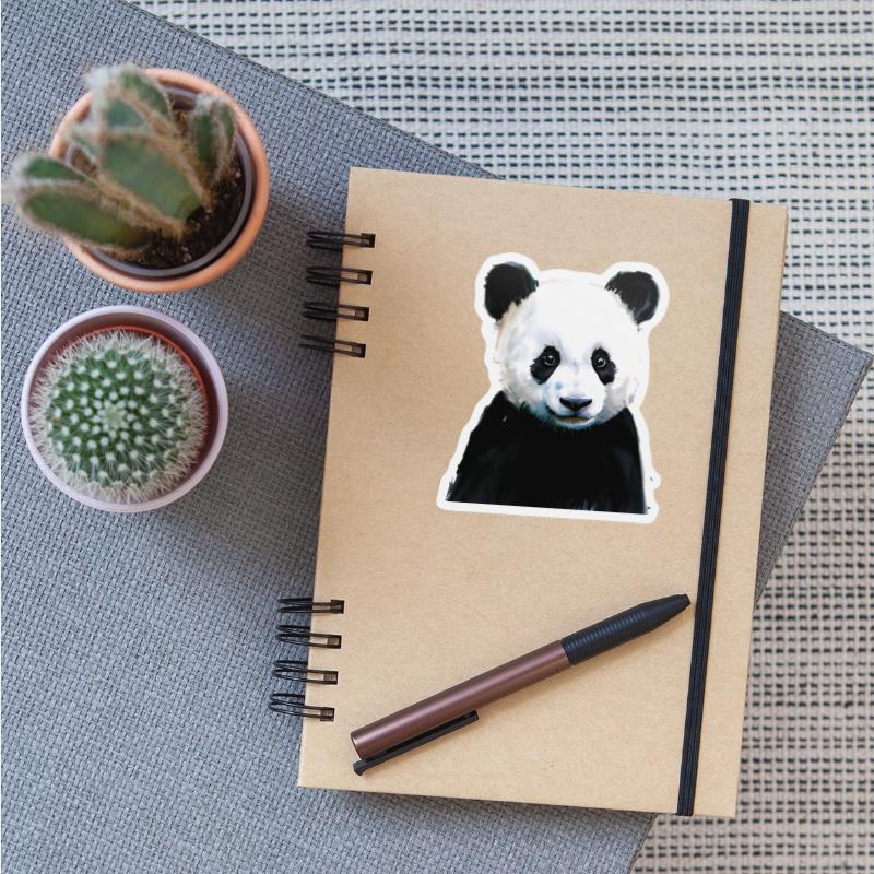 Panda Illustration