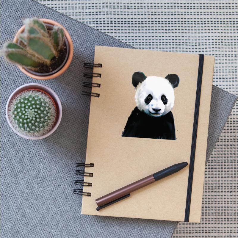 Panda Illustration