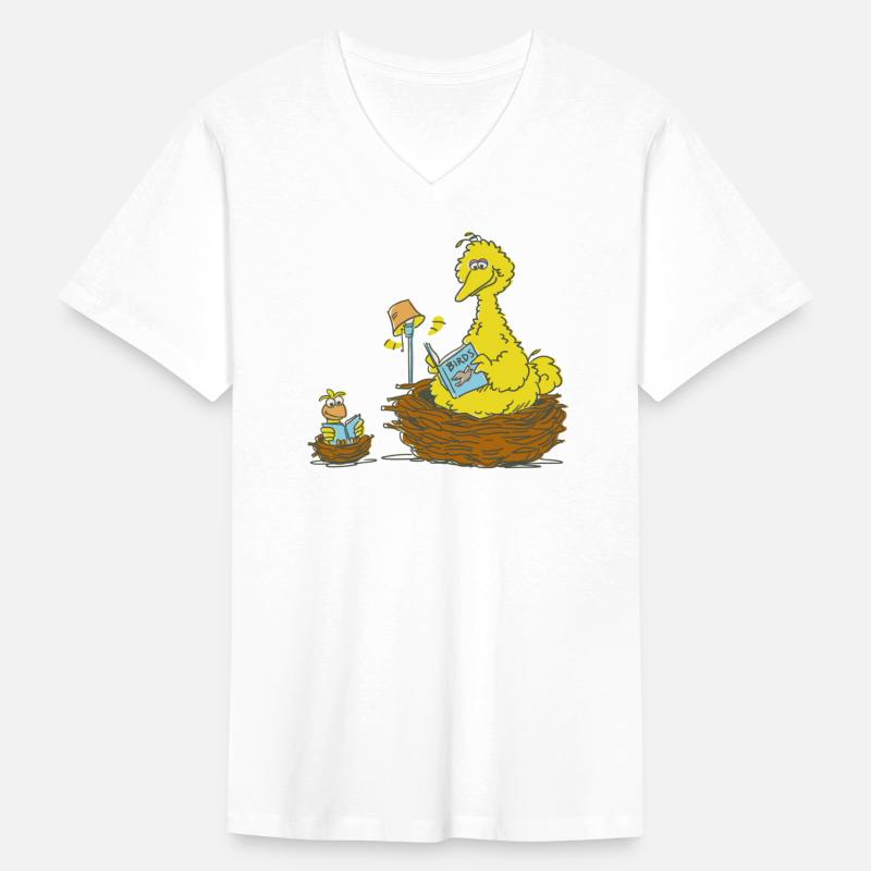 Sesame Street Big Bird And Little Bird Reading