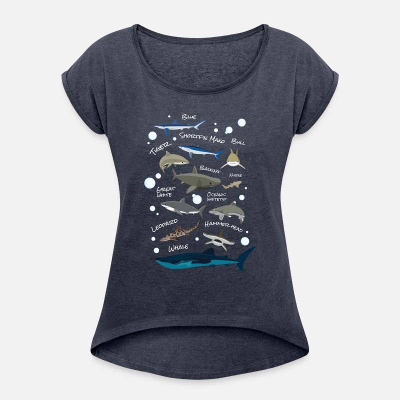 Shark Species Shark Fish