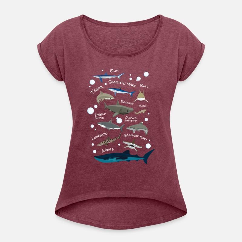 Shark Species Shark Fish