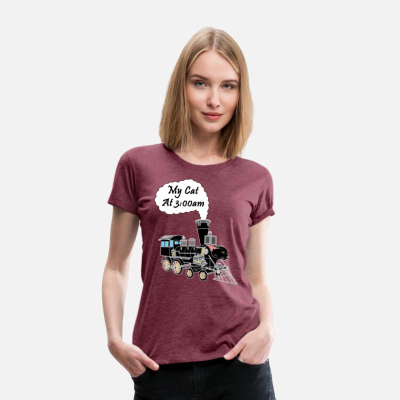 Speeding Train Hyper Black Cat at 3:00am