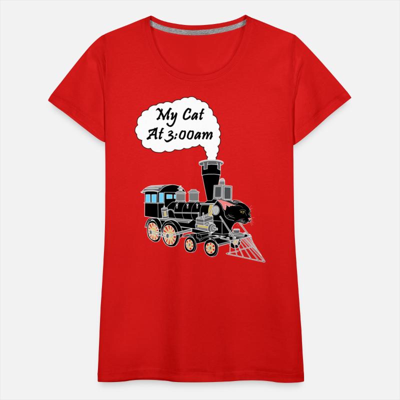 Speeding Train Hyper Black Cat at 3:00am