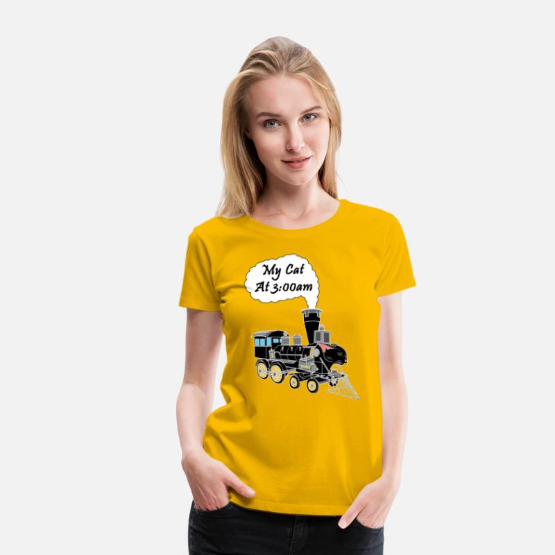 Speeding Train Hyper Black Cat at 3:00am