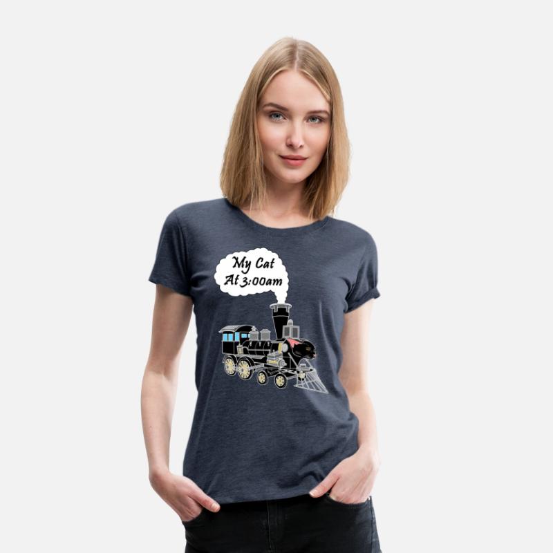 Speeding Train Hyper Black Cat at 3:00am