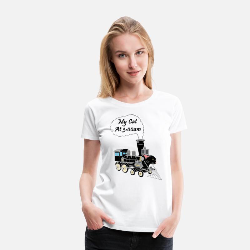 Speeding Train Hyper Black Cat at 3:00am