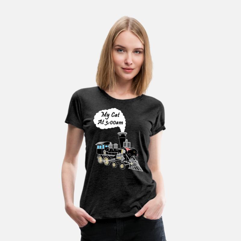 Speeding Train Hyper Black Cat at 3:00am