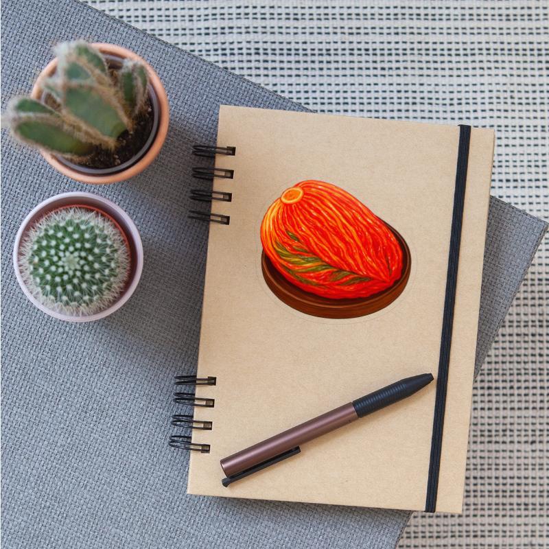 The Rice Thief Kimchi: Korea's Spicy Soul Food