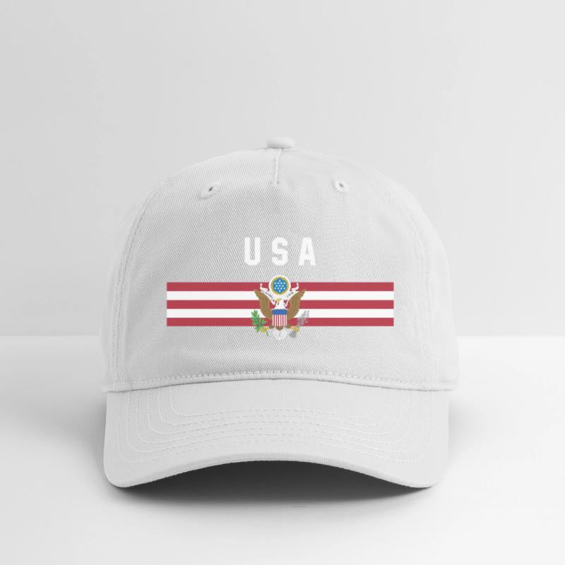 USA - flag and coat of arms